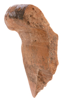 Afbeelding object 25ams44 - 328 - NZR2.00269CER111