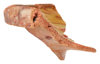 Afbeelding object 25ams44 - 347 - NZR2.00084CER027