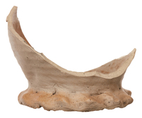 Afbeelding object 25ams44 - 16 - NZR2.00188CER005