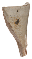 Afbeelding object 25ams44 - 41 - NZR2.00097CER007