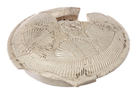 Afbeelding object 25ams44 - 57 - NZR2.00462CER023