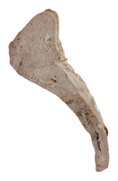 Afbeelding object 25ams44 - 177 - NZD1.00397CER161