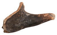 Afbeelding object 25ams44 - 428 - NZR2.00441CER207