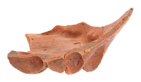 Afbeelding object 25ams44 - 487 - NZR2.00210CER170