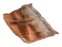 Afbeelding object 25ams44 - 490 - NZR2.00313CER189