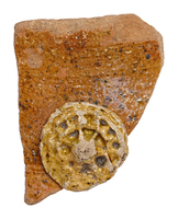 Afbeelding object 25ams44 - 498 - NZD1.00098CER045