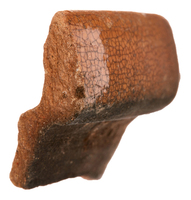 Afbeelding object 25ams44 - 501 - NZR2.00524CER252