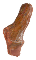 Afbeelding object 25ams44 - 549 - NZR2.00503CER002