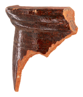 Afbeelding object 25ams44 - 639 - NZR2.00351CER087