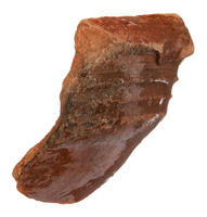 Afbeelding object 25ams44 - 665 - NZR2.00653CER117