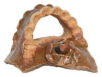 Afbeelding object 25ams44 - 728 - NZR2.00230CER008