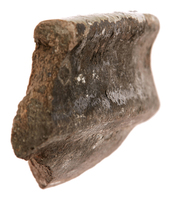 Afbeelding object 25ams44 - 770 - NZDAM1.00007CER017