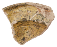 Afbeelding object 25ams44 - 783 - NZR2.00198CER055