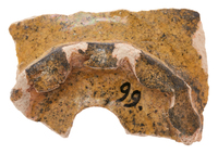 Afbeelding object 25ams44 - 787 - NZD1.00099CER230