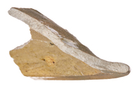 Afbeelding object 25ams44 - 792 - NZR2.00215CER071