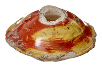 Afbeelding object 25ams44 - 798 - NZR2.00527CER270