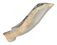 Afbeelding object 25ams44 - 1029 - NZR2.00378CER011