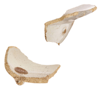 Afbeelding object 25ams44 - 1059 - NZR2.00667CER038