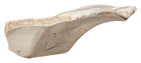 Afbeelding object 25ams44 - 1074 - NZR2.00278CER023