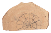 Afbeelding object 25ams44 - 1109 - NZR2.00456CER031