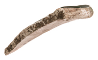 Afbeelding object 25ams44 - 942 - NZR2.00611CER064