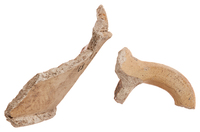 Afbeelding object 25ams44 - 957 - NZD1.00087CER325