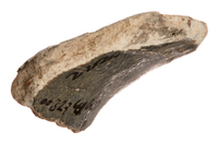 Afbeelding object 25ams44 - 988 - NZR2.00327CER020