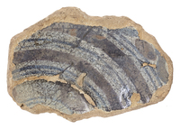 Afbeelding object 25ams44 - 1133 - NZD1.00050CER034