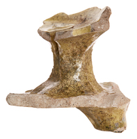 Afbeelding object 25ams44 - 842 - NZR2.00252CER203