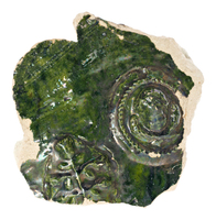 Afbeelding object 25ams44 - 926 - NZR2.00576CER112