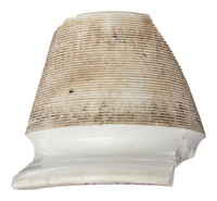 Afbeelding object 25ams44 - 1309 - NZR2.00521CER059