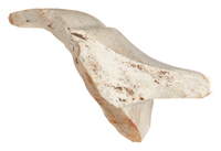 Afbeelding object 25ams44 - 1391 - NZD1.00039CER031