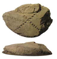 Afbeelding object 09gou1 - 49 - GOUA-08AW759-2