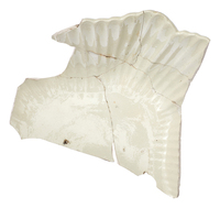 Afbeelding object 25ams44 - 1461 - NZR2.00257CER116