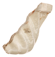 Afbeelding object 25ams44 - 1487 - NZR2.00527CER173