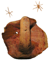 Afbeelding object 09gou1 - 60 - GOUA-08AW513-7