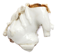 Afbeelding object 25ams44 - 1163 - NZR2.00289CER004