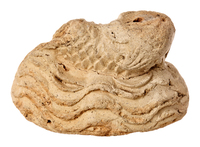 Afbeelding object 25ams44 - 1562 - NZD1.00381KSC001