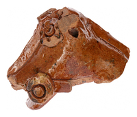 Afbeelding object 25ams44 - 301 - NZR2.00451CER129