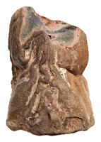 Afbeelding object 25ams44 - 1540 - NZD1.00077KSC001