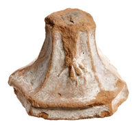 Afbeelding object 25ams44 - 1546 - NZD1.00087KSC001