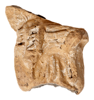 Afbeelding object 25ams44 - 1544 - NZD1.00397KSC004