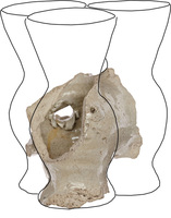 Afbeelding object 25ams44 - 203 - NZD1.00417CER104