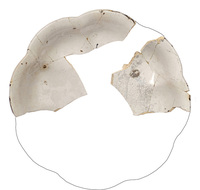 Afbeelding object 25ams44 - 1078 - NZR2.00464CER008