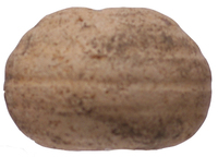 Afbeelding object 25hul6 - 22 - 5104688100 79-2