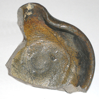 Afbeelding object 10alk11 - 63 - 07LAN16BP1BE