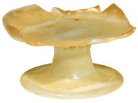 Afbeelding object 03zwo3 - 10 - ZWO87-VRO-1