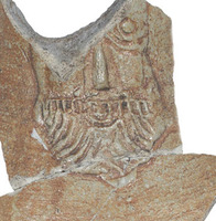 Afbeelding object 06zwo8 - 11 - Wer01 1203