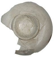 Afbeelding object 06zwo8 - 39 - Wer01 1270 8-8