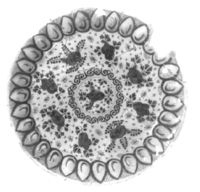 Afbeelding object 97alk2 - 54 - Alk97-93LAN-BP1 BA